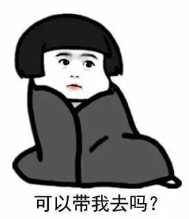 对不起老板,我要辞职去迪拜捡垃圾了.....