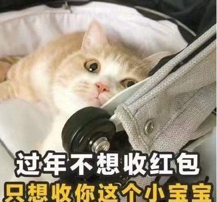 有本事先找到对象表情包高清分享