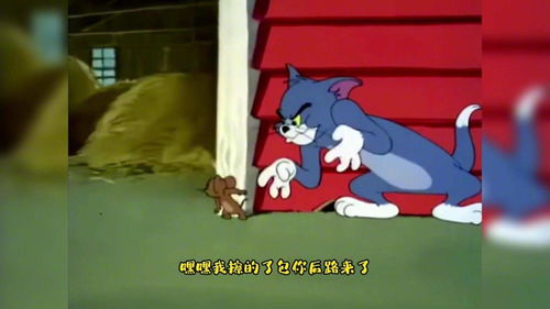 搞笑配音,猫和老鼠杰瑞错拉沙雕猫牵着翻山越岭到处跑笑喷了