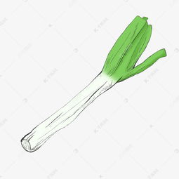 卡通插画简约清新线条大葱psd源文件素材图片免费下载千库网