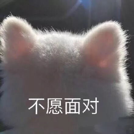 刷爆微博51岁的周慧敏近照颜值逆天k.o.同台20岁少女
