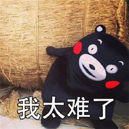 熊本熊我太难了表情包大全