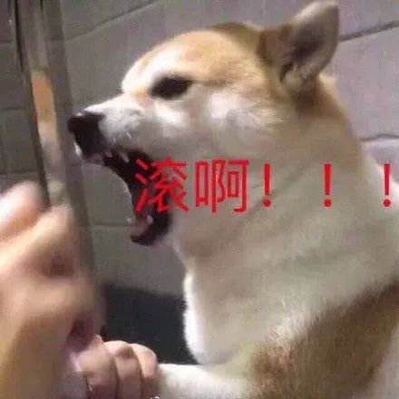 有没有什么沙雕且脱俗的文案