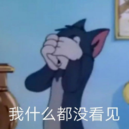 搞笑表情包拿图片达成共识,我什么都没看见