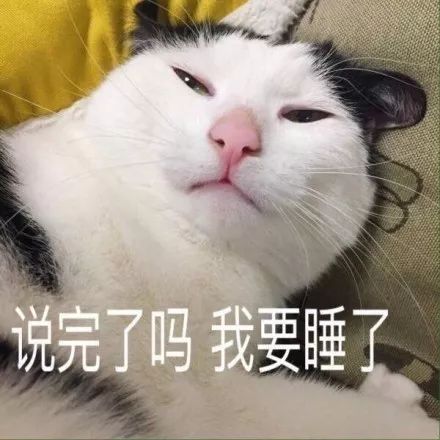 究竟是我们驯养了猫,还是猫驯养了我们