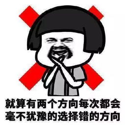出门遛狗,回家靠狗女生真的比男生路痴吗