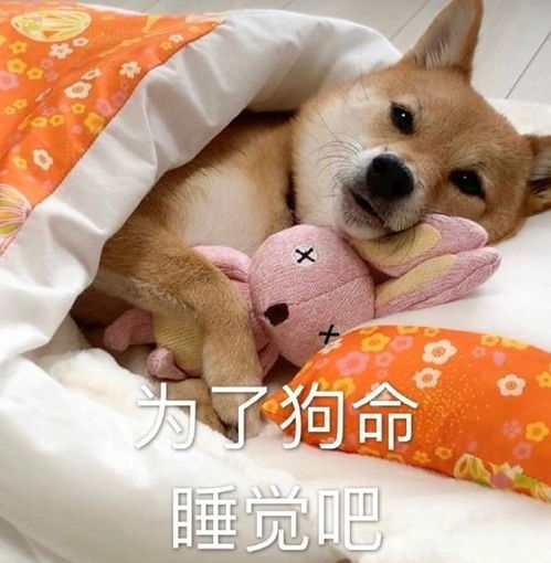 最新搞笑表情包图片小问题,不要慌,要开心