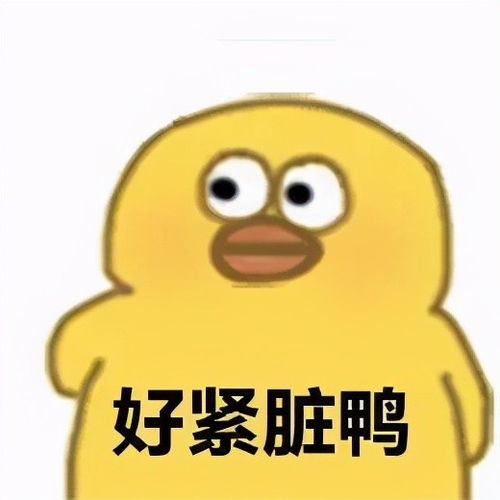 这对贱贱还萌萌的小黄鸭表情包你确定不要