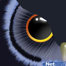ps教程绘制可爱的卡通猫头鹰