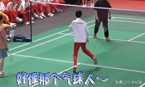 笑不活了盛李豪打羽毛球太好笑了冲上热搜,我却笑死在评论区