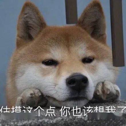 日常沙雕表情包