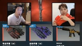 csgo片头开箱引起不适,已举报chaboyy白银大师的鱼塘搞笑时刻csgo