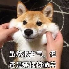 80后男生微信头像最爱