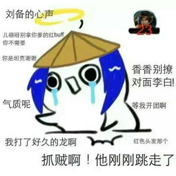 王者荣耀搞笑表情包李元芳在线求推塔