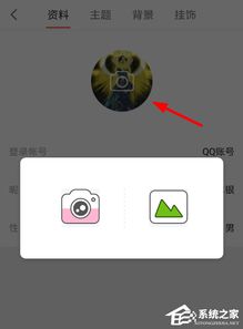 网易漫画如何更换头像网易漫画更换头像的教程