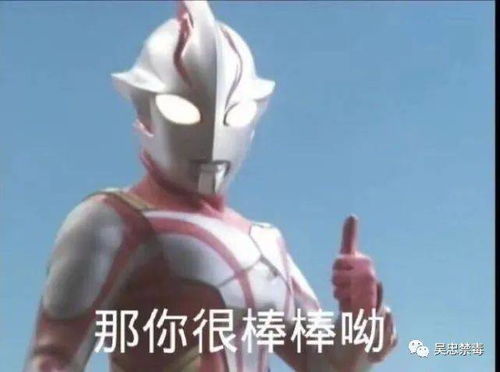 奥特曼家族团建逛三园之植物园