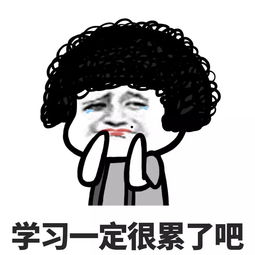 暑假来啦这些是你的真实写照吗