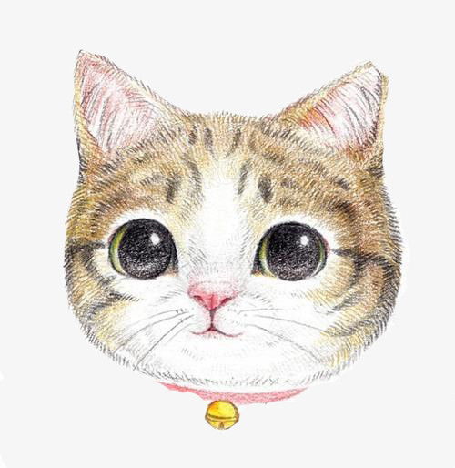 卡通手绘小猫png图片素材免费下载手绘卡通png500514像素熊猫办公