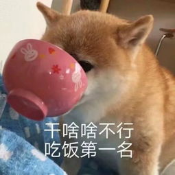 山师吐槽会国庆留校的千条理由