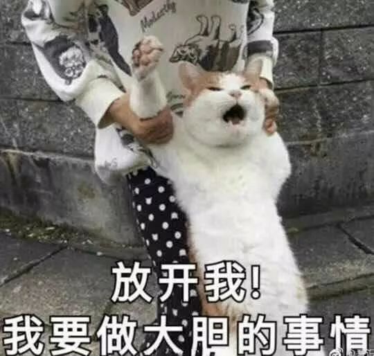你懂得极致反差萌,她超凶的