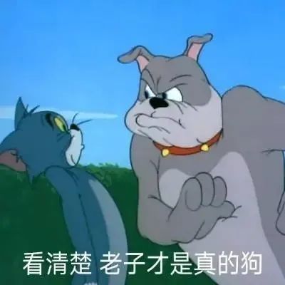 整理了一些骂人不带脏字的文案