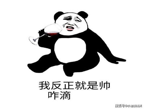搞笑段子你们俩是来买鞋的吗,我咋感觉你们,是来砸场的呢