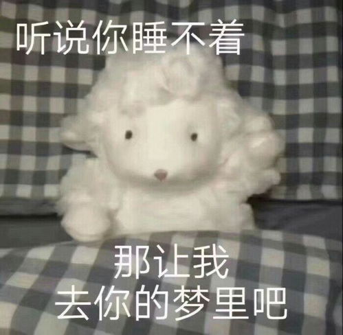 有什么好看的表情包吗