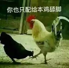 鸡年斗图必备不用这些表情包,怎么好意思跟别人聊天逗乐