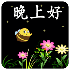 晚安搞笑的表情包晚上好