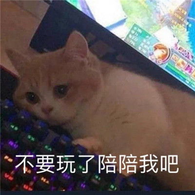 巨沙雕的巨搞笑的搞怪聊天表情大全