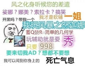 求lol索拉卡的一张图,类似这张