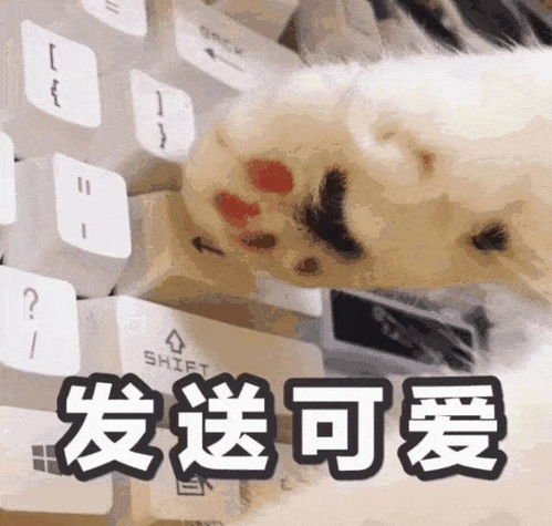 十条段子老婆连我生日都记错了