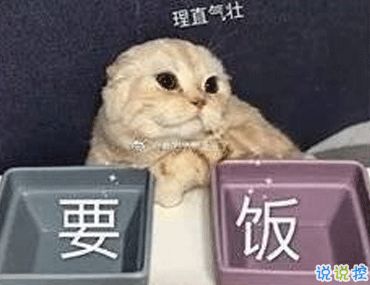 双十一笑死人的有趣请假文案你们今天请假可以用的理由
