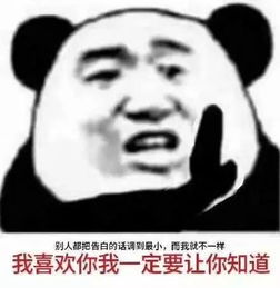 表情包丨我说以后不再熬夜,狗都觉得好笑