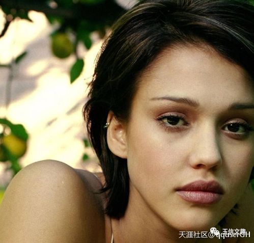 给影视圈中的俊男美女评评分林志玲杰西卡阿尔巴马天宇