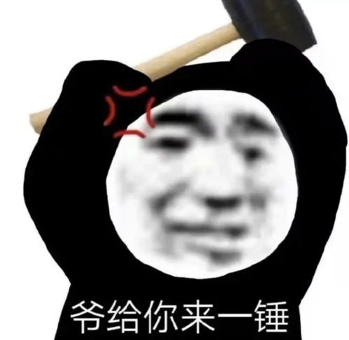 搞笑表情包来啦