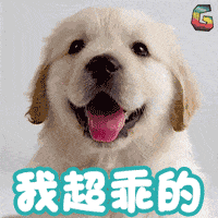 搞笑动图gif微信表情包男友出租