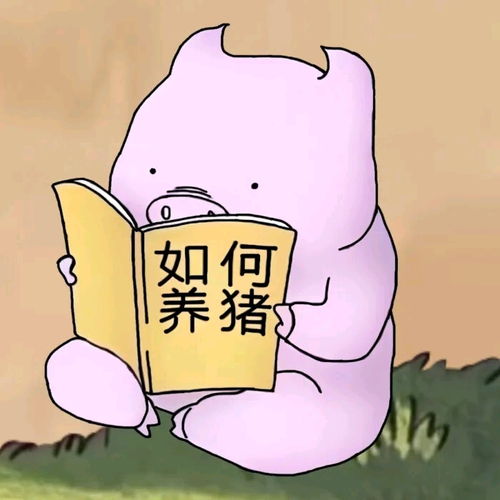 呆萌搞笑情侣头像卡通沙雕