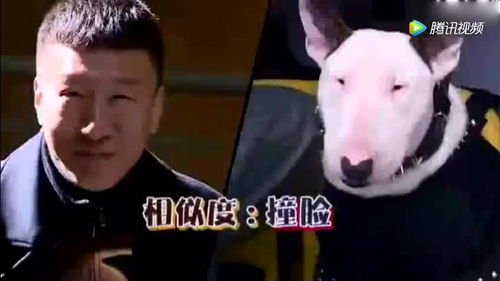 孙红雷跟黄渤互相嘲讽的这一段看一次笑一次哈哈哈