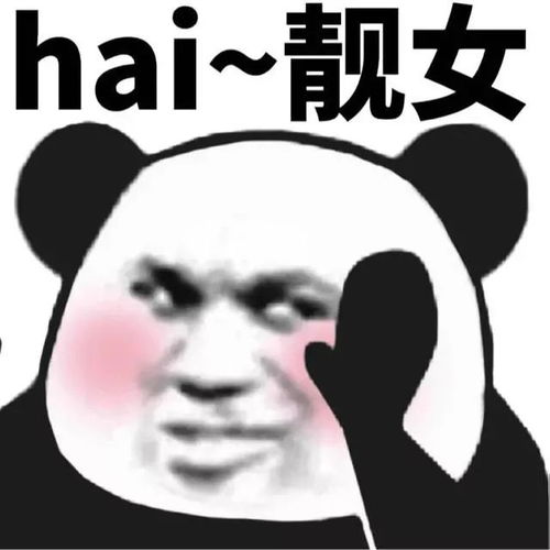 熊猫头表情包小哥哥带我纸醉金迷,送我玛莎拉蒂吧