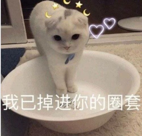 搞笑熊猫头表情包开心一笑