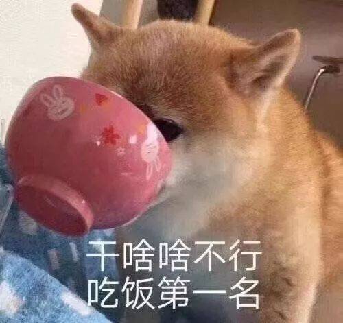 第345天,我还在坚持,一切都还好