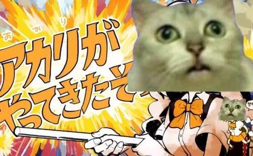这只刷屏群聊的猫猫头表情,路子究竟有多野