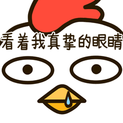小黑鸡和白兰度微信表情gif小黑鸡和白兰度微信动态表情
