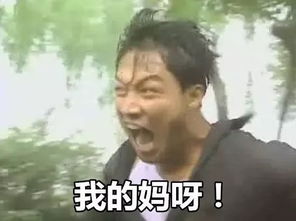 我的妈呀