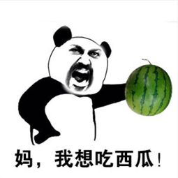 真孝顺表情包