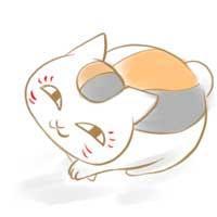 猫动漫头像大全动漫头像qq头像大全qq志乐园
