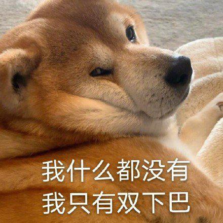 有哪些让人一看就笑的图片沙雕预警