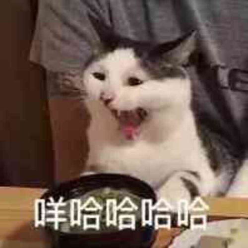 一lemon逼哈哈哈哈哈这个词太搞笑了
