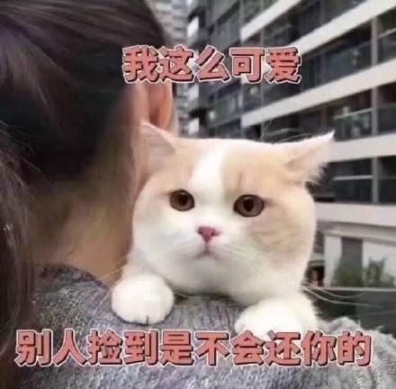 和男朋友斗图表情包我这么可爱,别人捡到是不会还你的